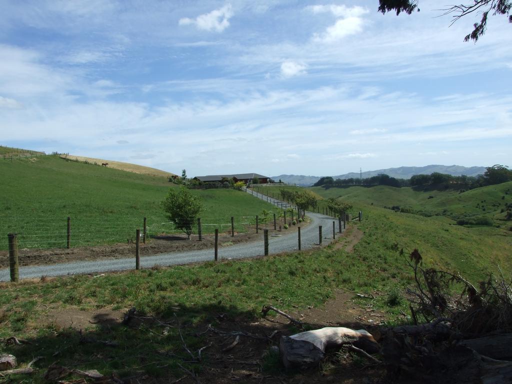 Kauri Lodge Karapiro 외부 사진